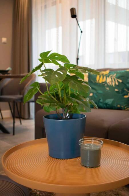 Luxury Cozy 2 Bdr Downtown Apt.2 Budapest Exterior foto